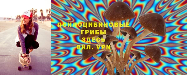 бошки Абинск