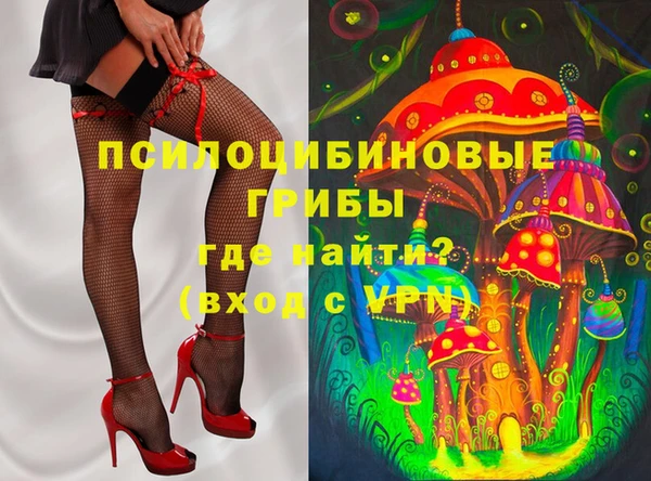 герыч Снежинск