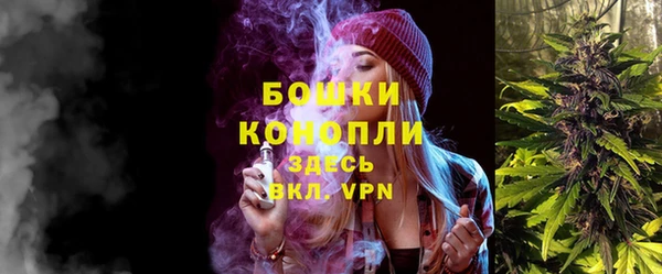 ГАЛЛЮЦИНОГЕННЫЕ ГРИБЫ Абаза