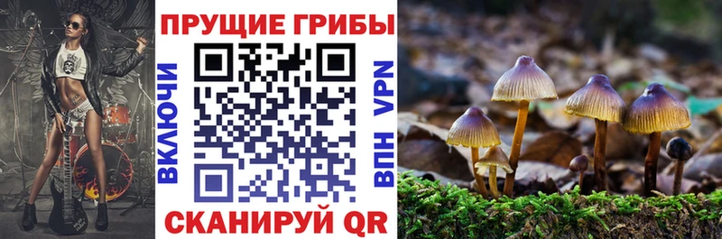 Галлюциногенные грибы Cubensis  Елизово 