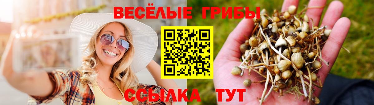 купить наркотик  Галлюциногенные грибы прущие грибы  Вход с VPN  Елизово 